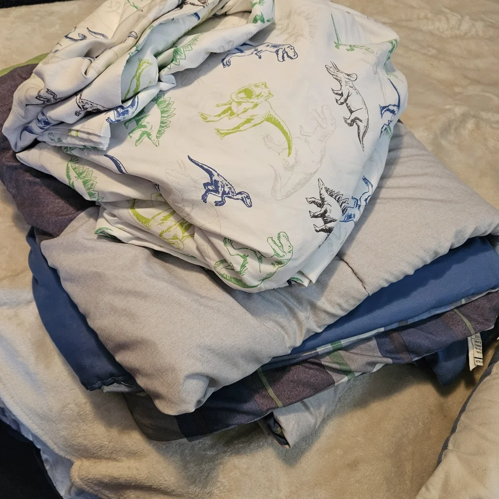 Sonoma Dinosaur Full Bedding Set 8 piece set blue multicolor